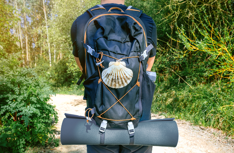 Wandelen in de Vogezen